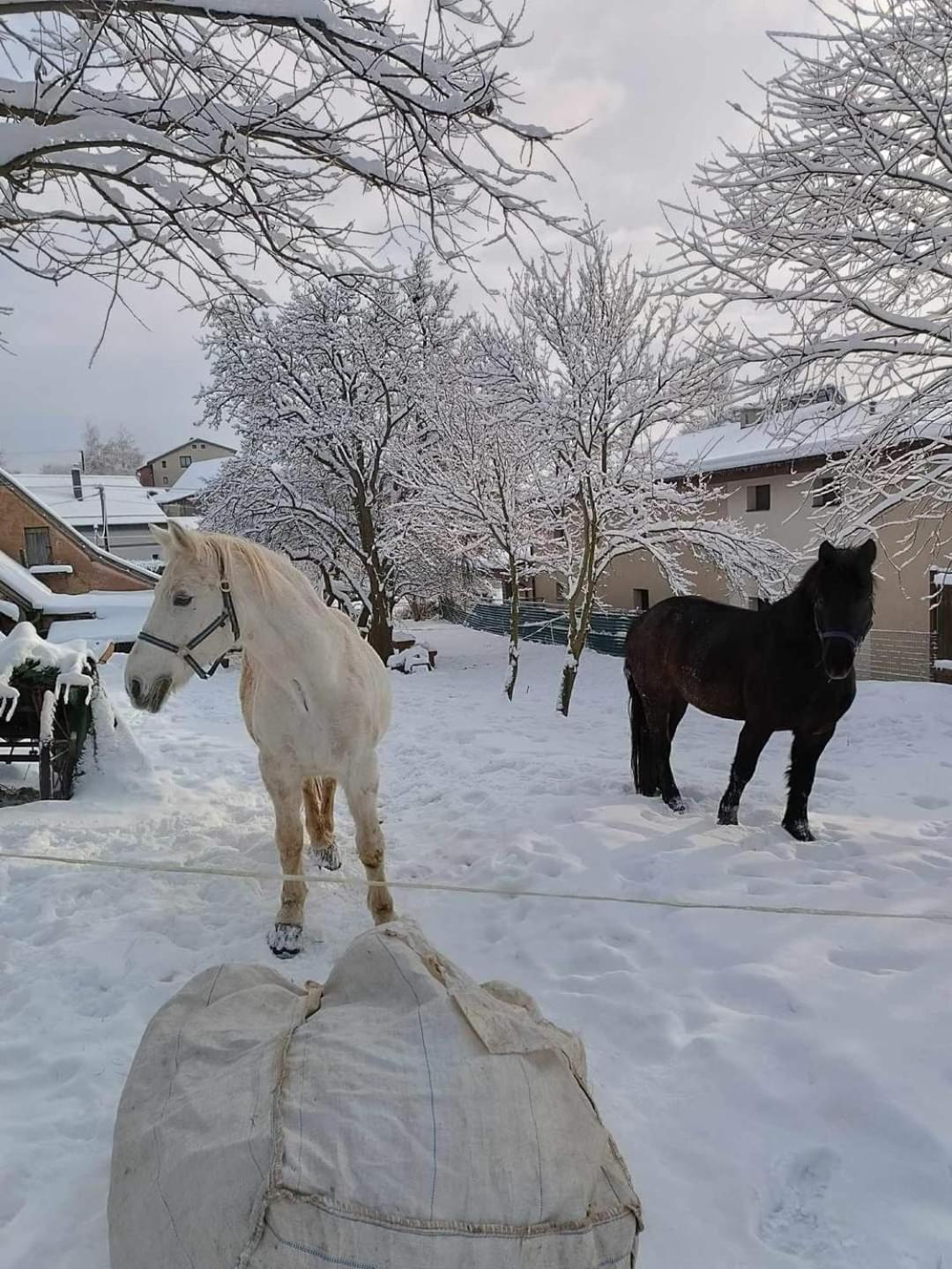 ホテル Pezion Limbovy Dvor ヴルボフ エクステリア 写真