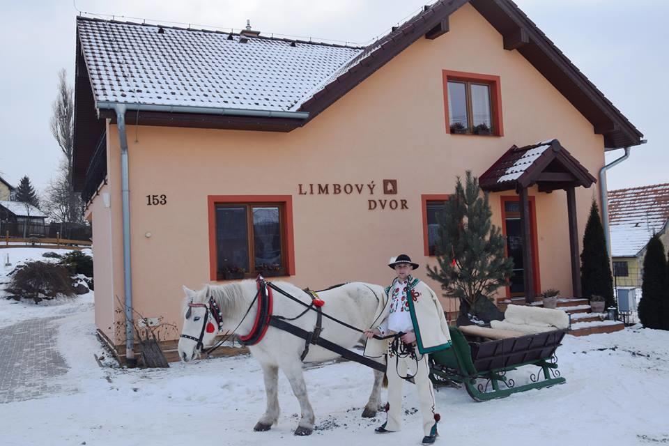 ホテル Pezion Limbovy Dvor ヴルボフ エクステリア 写真